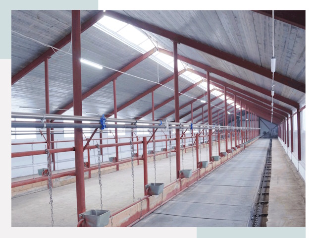 Строительство коровников в Торжке от 613 руб.