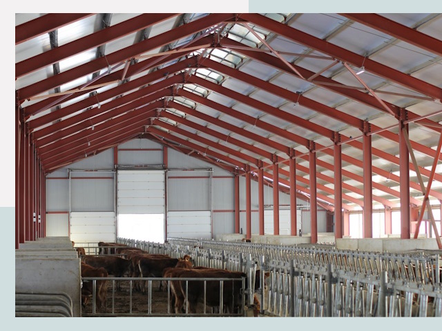 Строительство коровников в Торжке