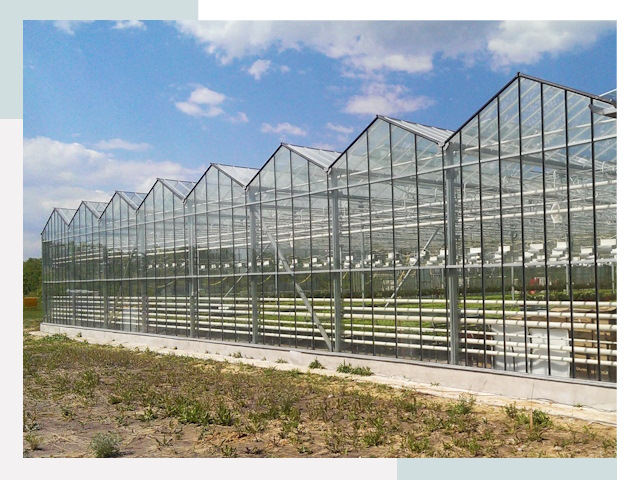Строительство теплиц в Торжок от 613 руб. за м²