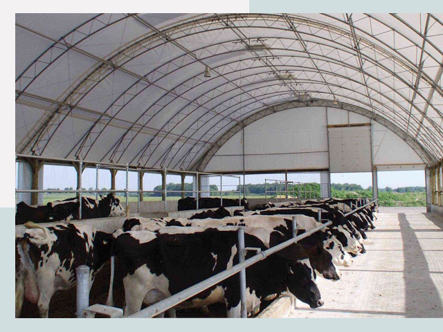 Тентовые коровники в Торжке